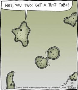 Bacteria Jokes - Norweco
