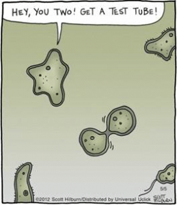 biology jokes mitosis