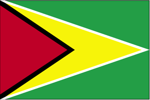 Guyana Flag